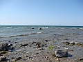 Western Michigan [2010] 789